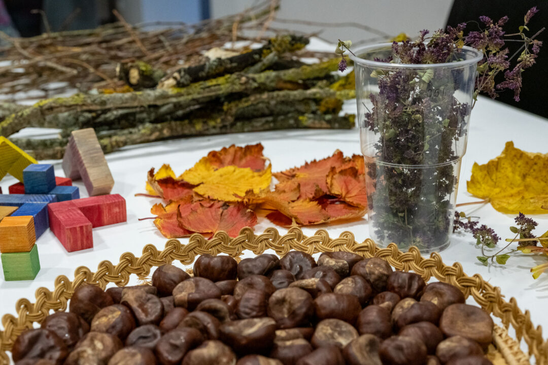 Suur korv kastanitega, ümber laotatud oranžid ja kollased lehed. Paremal läbipaistvas topsis kuivatatud lillade õitega taim; vasakul on värvilised puidust klotsid ja taustal näha oksakimbud.