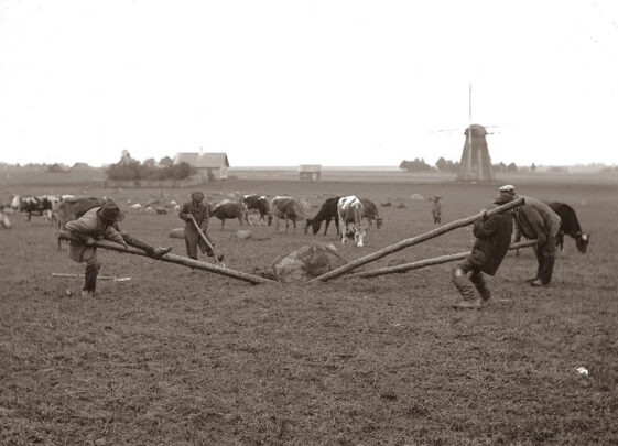 Kivikangutajad (30 x 42 cm)