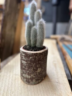 Ühepuutopsi valmistamine