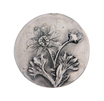 Taimemotiividega hõberipats