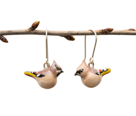 Siidisabadega kõrvarõngad