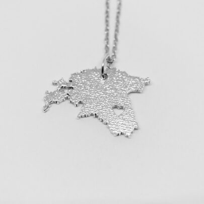 "Eesti ja Tartu" hõbekaelakee