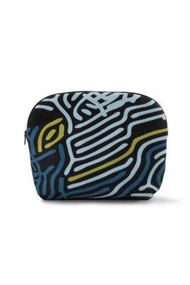 Kosmeetikakott Chromosome