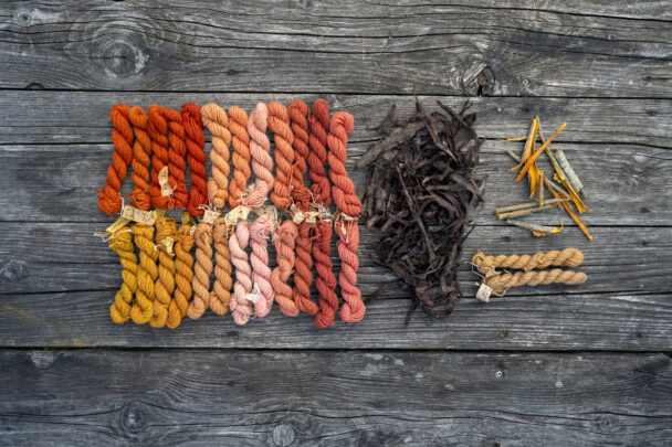 Lõnga värvimine puukoortega